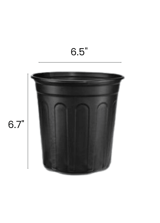 Nursery pot