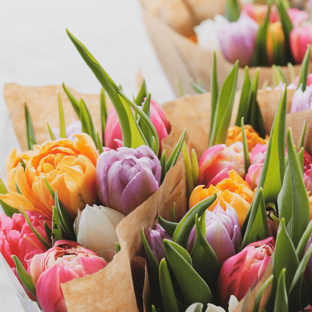 Bouquet of colorful tulips and flowers