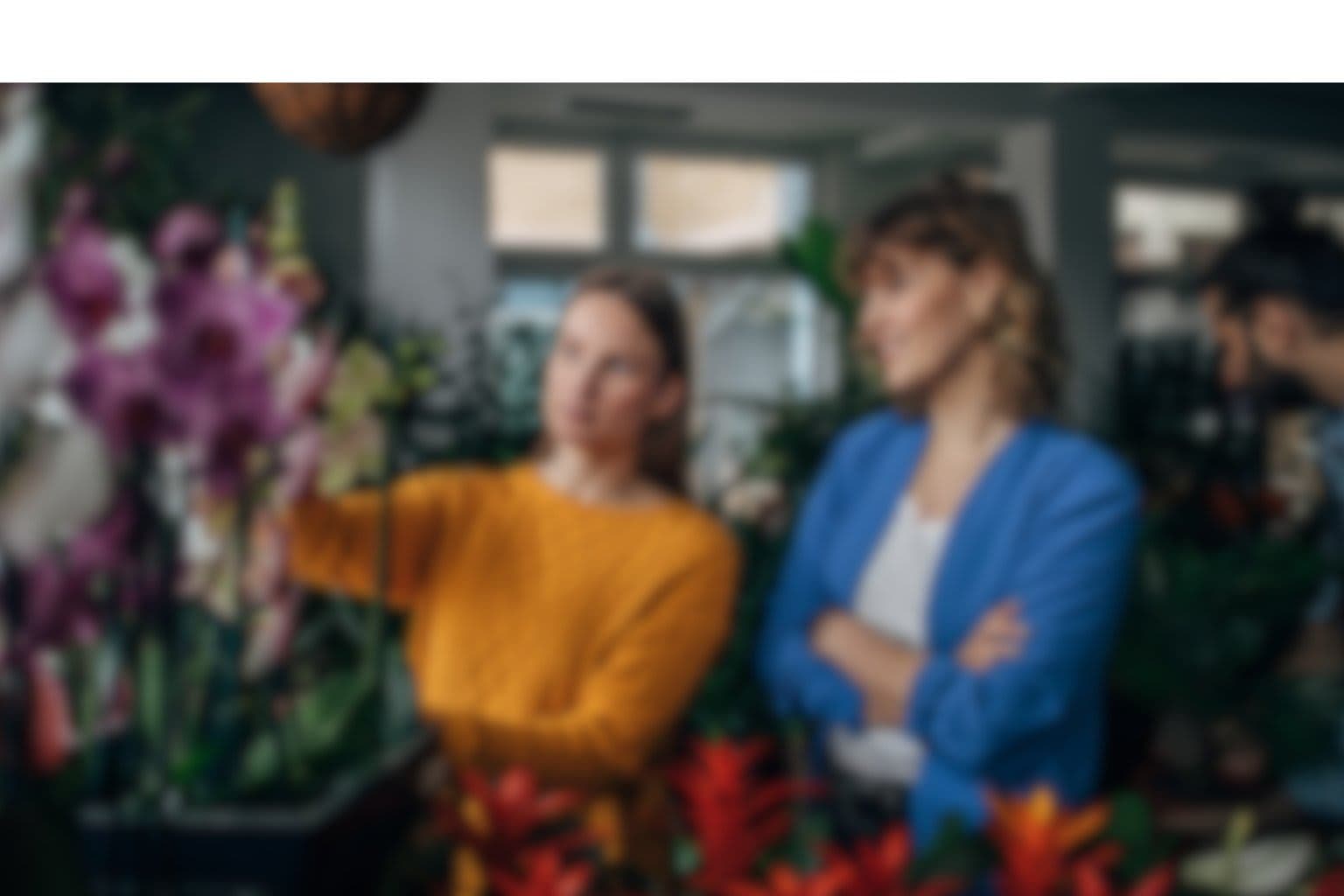 Flower shop background